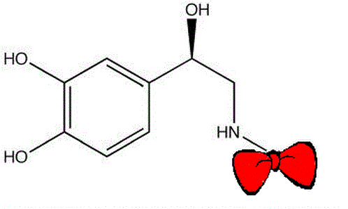 Dessin de molécules chimiques avec un noeud papillon rouge